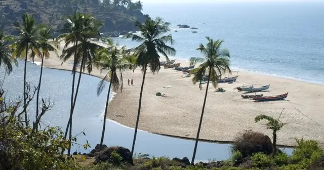 Palm trees and fishing boats on a sandy beach near Diveagar